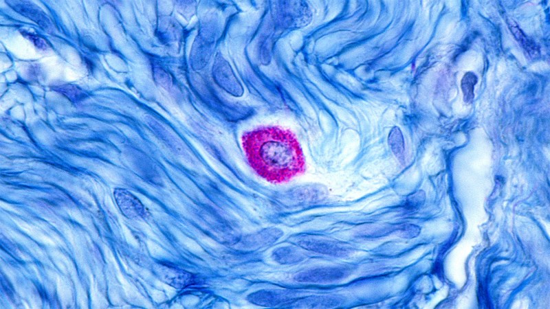 A purple blob is shown in the middle of a blue-and-white marbled wavelike pattern.